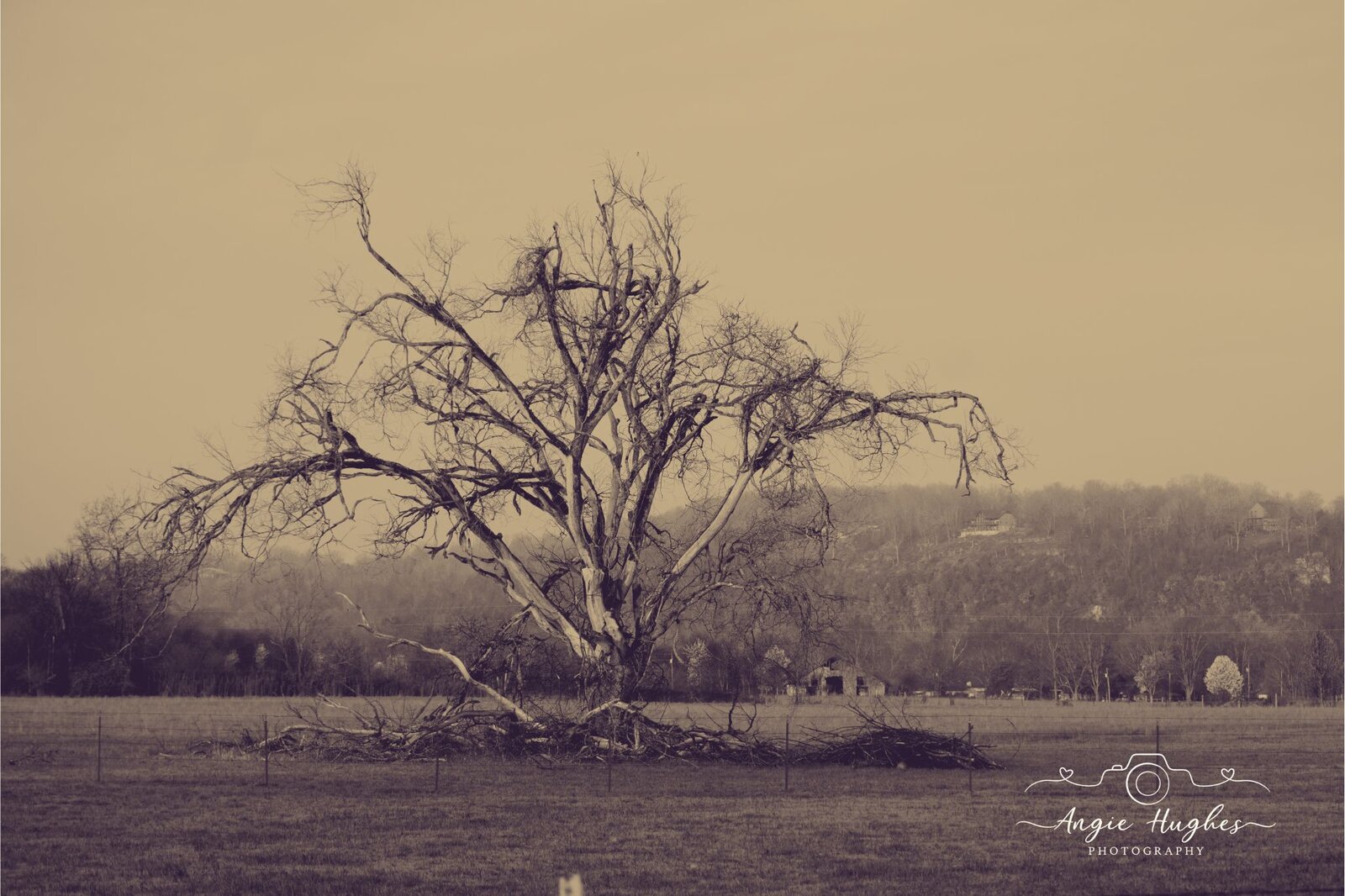 Rural Landscape