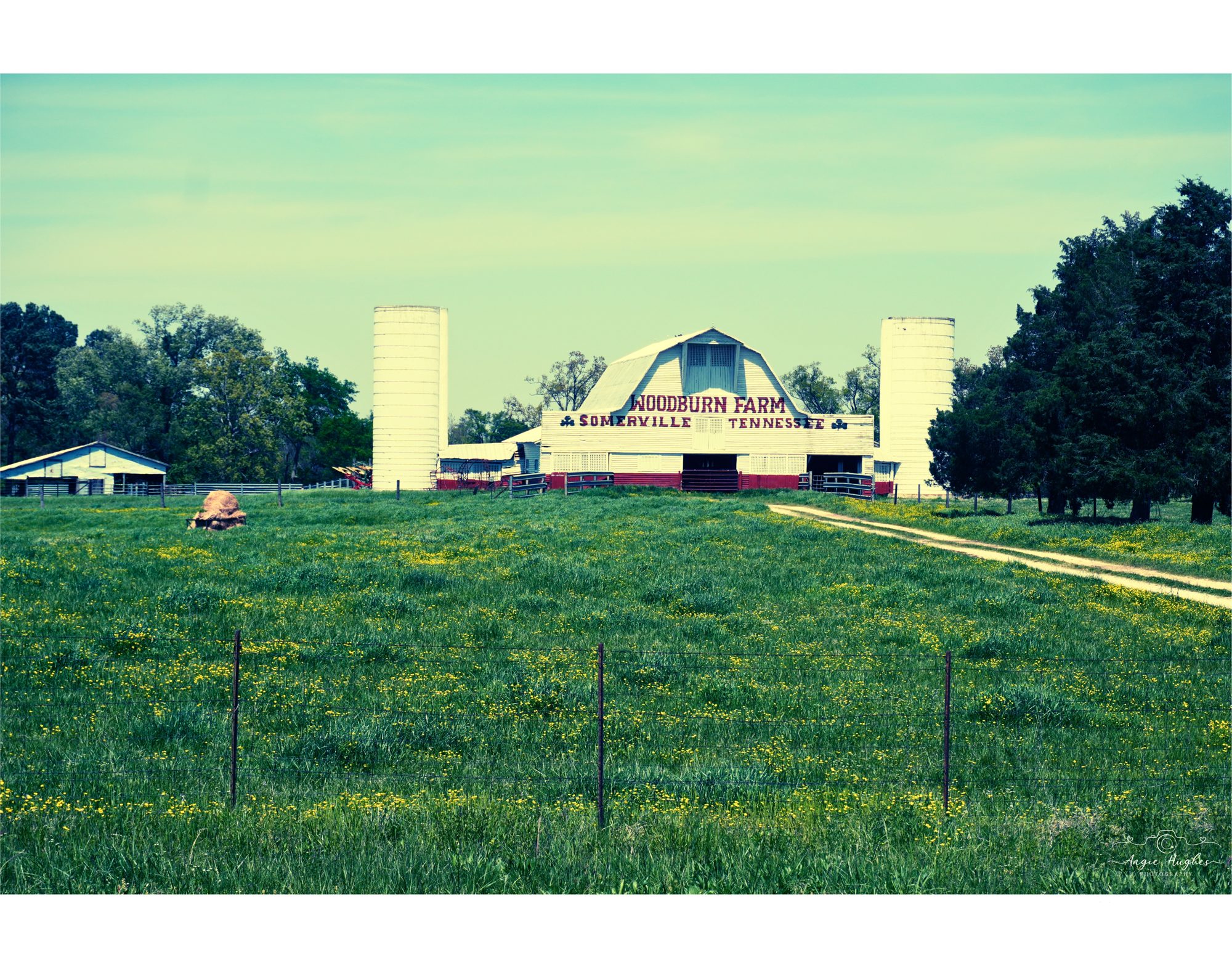 Woodburn Farm
